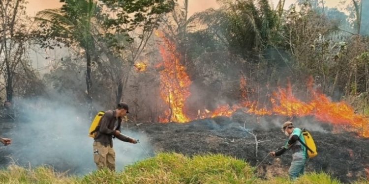 El Gobierno de Bolivia moviliza más de 4.800 bomberos para combatir incendios forestales