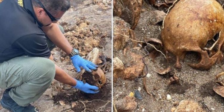 El huracán Nicole desentierra seis esqueletos en Florida