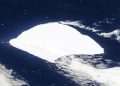 El iceberg más grande del mundo se desatasca después de tres décadas varado y se dirige al Atlántico