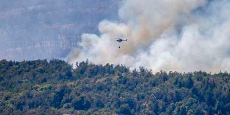 El incendio en el parque nacional argentino de Los Alerces deja más de 1.000 hectáreas arrasadas