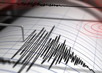 El INSIVUMEH reporta 314 sismos registrados en el paí­s, en lo que va de noviembre