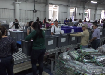 El nueve de agosto inicia el embalaje de cajas electorales para segunda vuelta