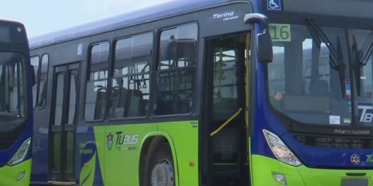 El primer lote de buses para el transporte urbano llego al paí­s este martes