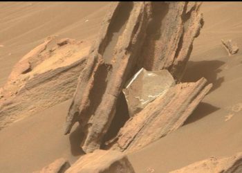 El róver Perseverance de la NASA detecta basura humana en Marte