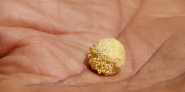 El Salvador expresa a Guatemala su preocupación por una mina