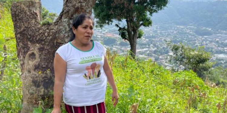 El Salvador: la lucha contra el cambio climático en la vida cotidiana