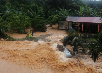 Elaboran censo para establecer número de damnificados por Eta