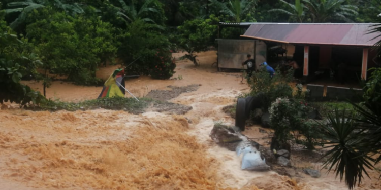 Elaboran censo para establecer número de damnificados por Eta