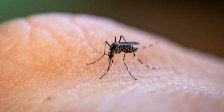 Emergencia sanitaria por epidemia de dengue