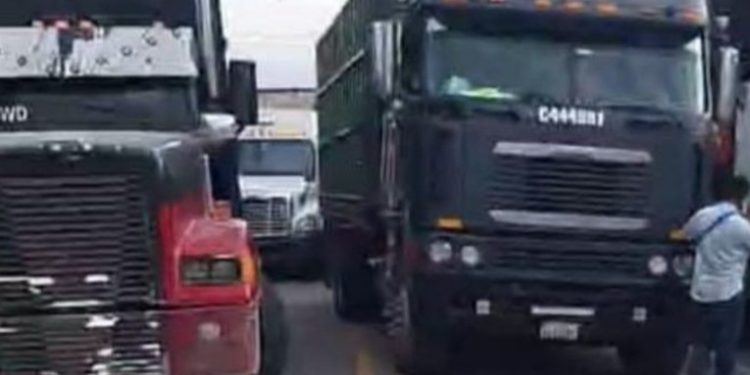 Empresarios del transporte pesado solicitan suspender restricciones por bloqueos