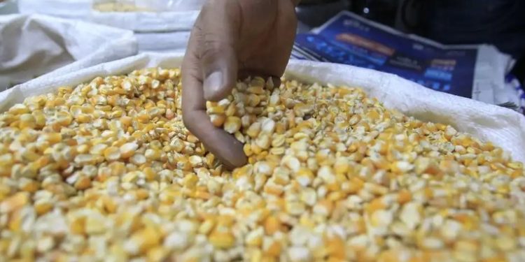 Empresarios denuncian incremento de contrabando de huevos y Maí­z proveniente de Honduras