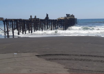 Empresarios rusos proponen construcción de nuevo muelle en terrenos del puerto