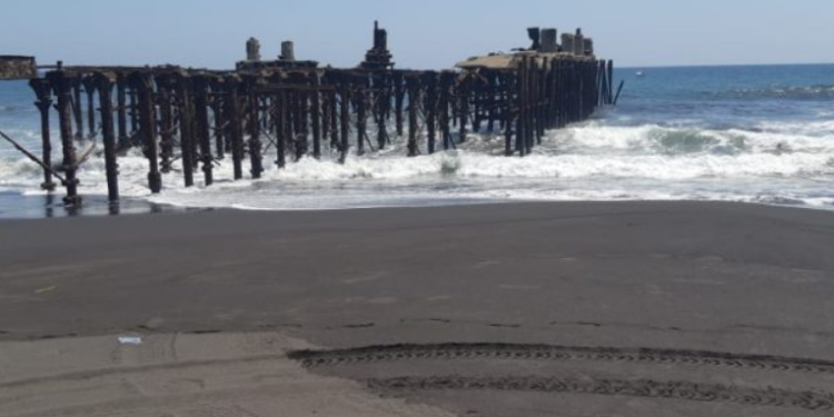 Empresarios rusos proponen construcción de nuevo muelle en terrenos del puerto