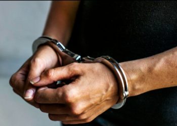 En Florida, 409 guatemaltecos enfrentan cargos por agresiones sexuales