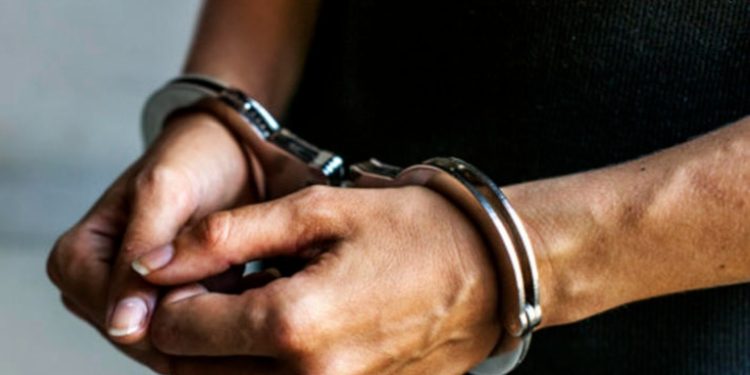 En Florida, 409 guatemaltecos enfrentan cargos por agresiones sexuales