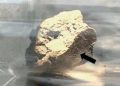Encuentran indicios del origen de la vida en un raro meteorito que se estrelló en la Tierra