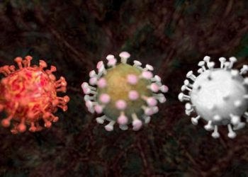 Endemia, epidemia, pandemia: Â¿cuál es la diferencia?