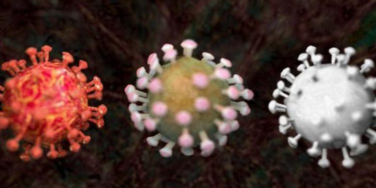 Endemia, epidemia, pandemia: Â¿cuál es la diferencia?