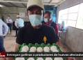 Entregan 14 mil gallinas a productores de huevos afectados