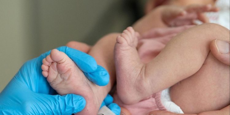 España registró 184.050 nacimientos hasta julio de este año 656 más que en 2023