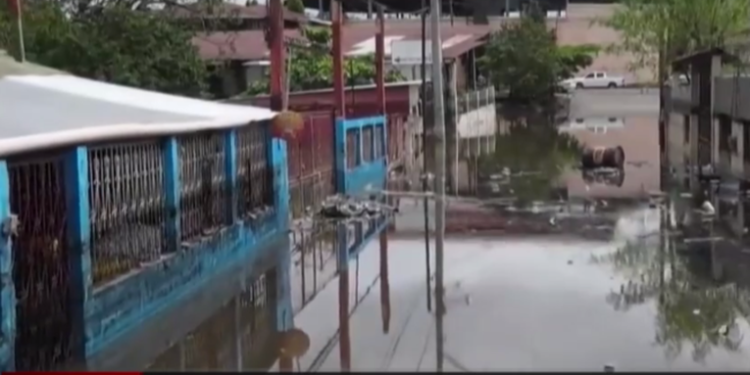 Esperan construir 636 viviendas durante 2021 para damnificados