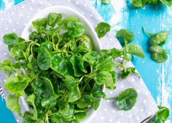 Esta es la verdura más saludable, que ayuda a todo el organismo y puede proteger del cáncer