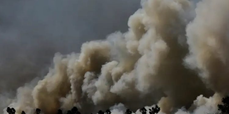 Estado de emergencia por incendios en el Pantanal de Brasil