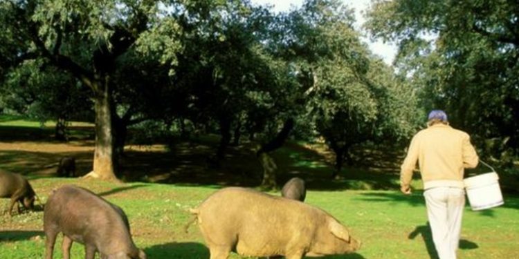 Estados Unidos busca mejorar condiciones laborales en Centroamérica