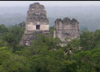 Estados Unidos destina 17 millones de dólares para la conservación de la Biosfera Maya