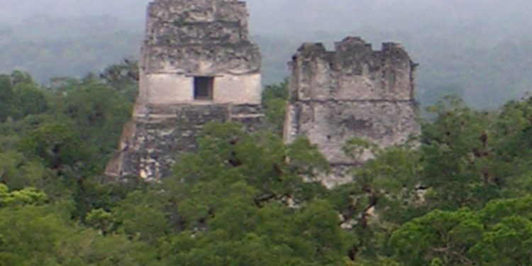 Estados Unidos destina 17 millones de dólares para la conservación de la Biosfera Maya
