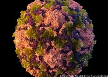 Estados Unidos registra su primer caso de polio en casi una década