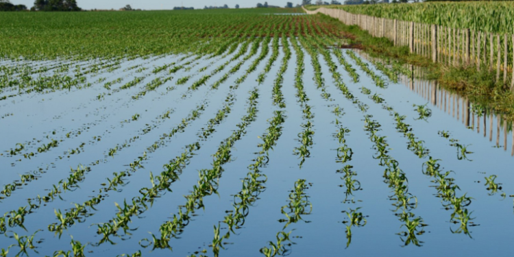 Eta sigue dejando estragos