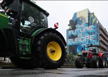Eurocámara aprueba Ley de Restauración de la Naturaleza