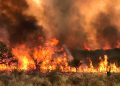 Evacuaciones masivas en Córdoba, Argentina, debido a incendios forestales devastadores