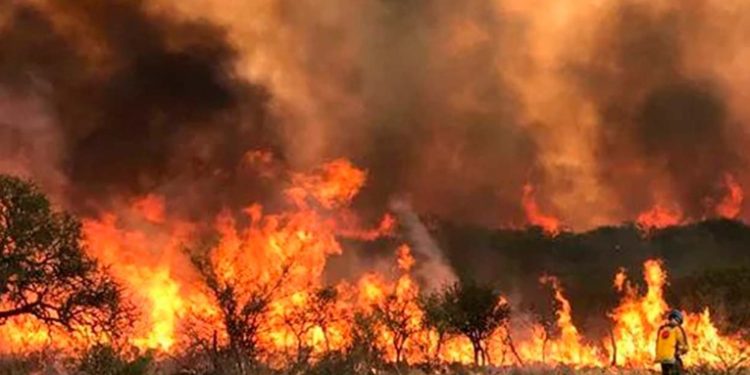 Evacuaciones masivas en Córdoba, Argentina, debido a incendios forestales devastadores