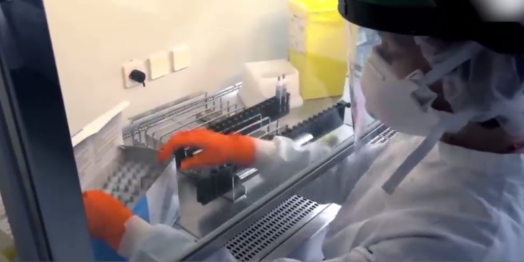 Expertos advierten muertes por í“micron en las próximas semanas