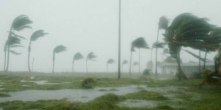 Expertos prevén temporada de huracanes más intensa en 2024