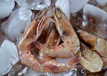 Exportación de camarón a Taiwán deja ingresos de Q14 millones en primeros cuatro meses del año