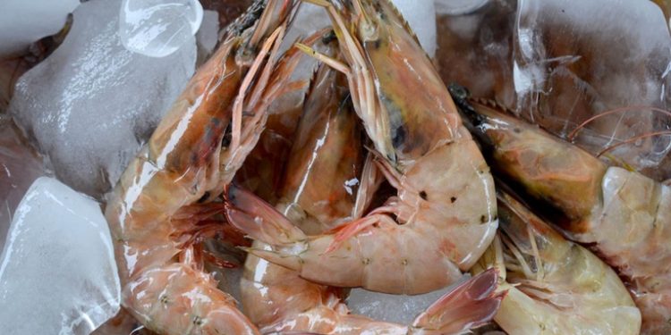 Exportación de camarón a Taiwán deja ingresos de Q14 millones en primeros cuatro meses del año