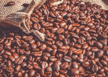 Exportaciones de macadamia y café a China vuelven a la normalidad, confirma el Ministerio de Economía