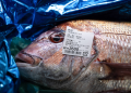 Exportaciones japonesas de mariscos a China se desploman tras el vertido de agua de Fukushima