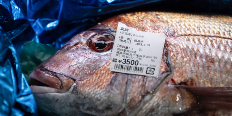 Exportaciones japonesas de mariscos a China se desploman tras el vertido de agua de Fukushima