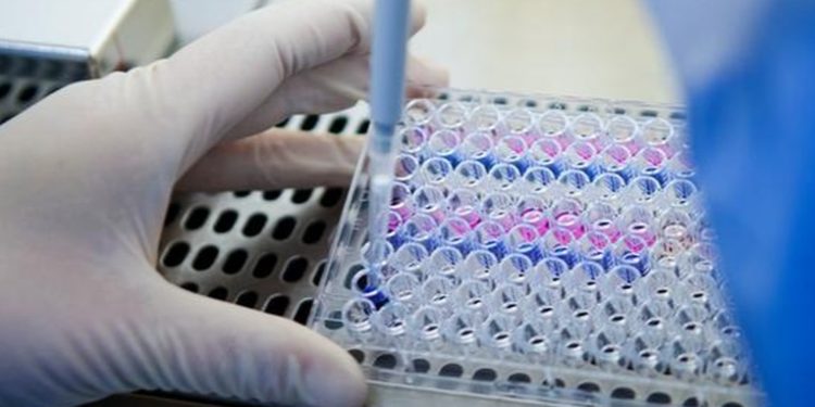 Fabricantes de vacunas predicen que tendremos la cura del cáncer antes de 2030