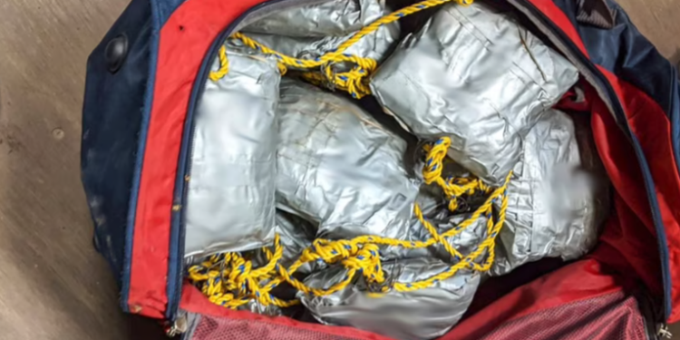 Fentanilo, el opioide que mata a 200 personas cada dí­a en Estados Unidos