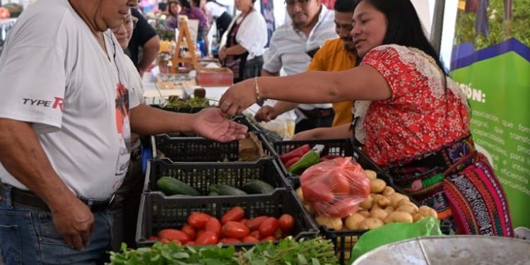 Feria del agricultor se expandirá al interior del país para apoyar a pequeños agricultores