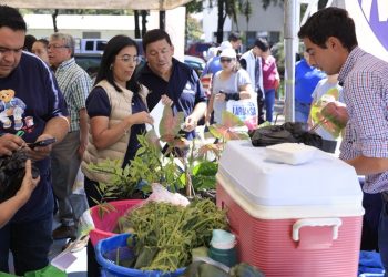 Ferias del agricultor generan Q2.3 millones en ventas durante 2024, según MAGA