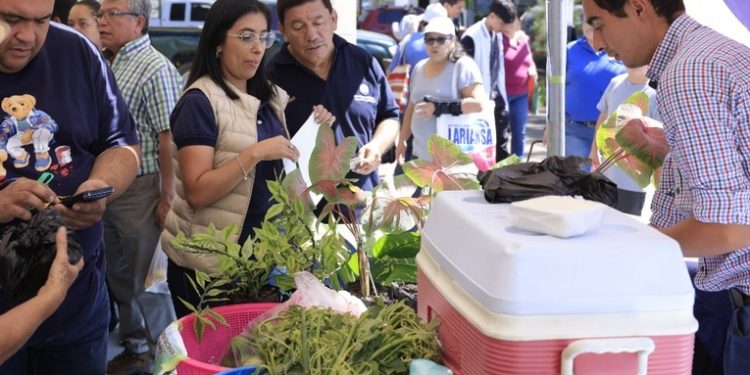 Ferias del agricultor generan Q2.3 millones en ventas durante 2024, según MAGA