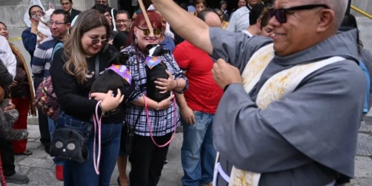 Fieles celebran a San Francisco de Asís llevando a sus mascotas a recibir bendiciones en iglesias del país