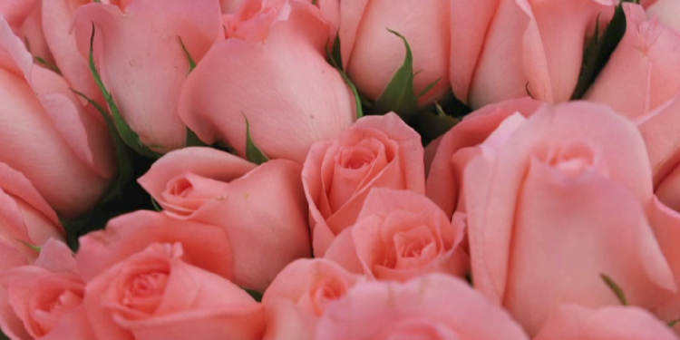 Flores, Chocolate y Artesanía Típica, los Productos Más Solicitados para el Día del Cariño