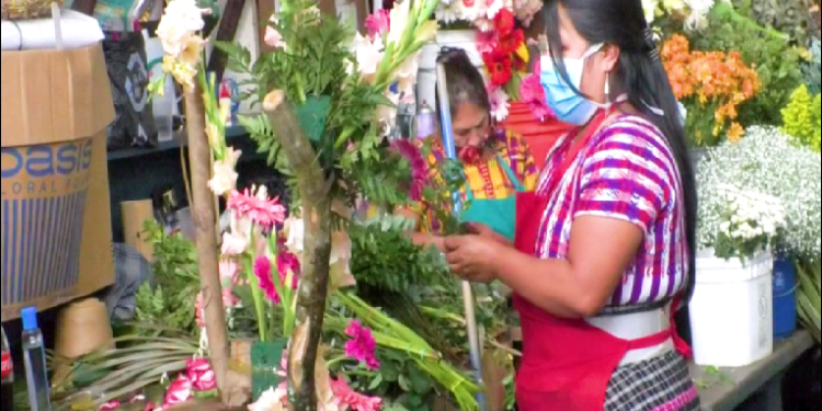 Floricultores aumentan sus exportaciones en los primeros meses del año